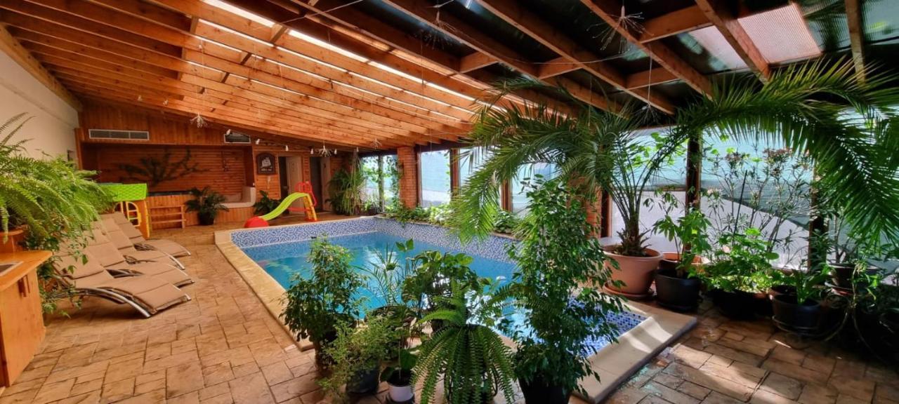 Dnt House &Spa Cîrcea Εξωτερικό φωτογραφία