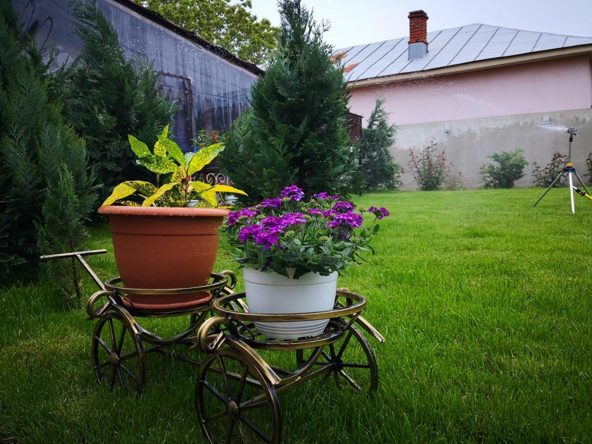 Dnt House &Spa Cîrcea Εξωτερικό φωτογραφία